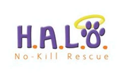 halo no kill rescue shelter adoption